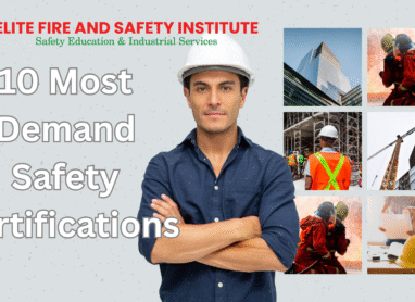 Demant safety certification